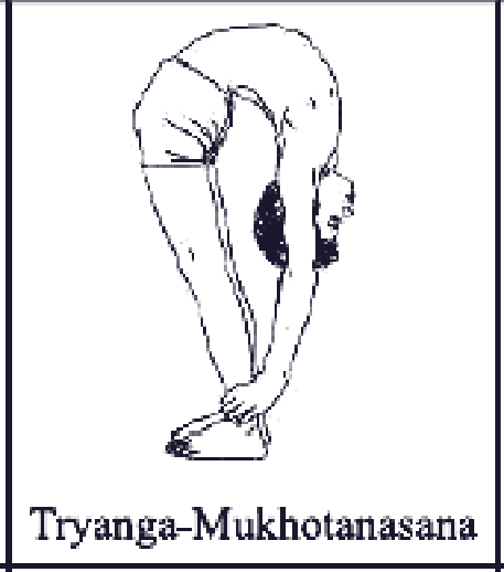 Tryanga Mukhotanasana pose diagram